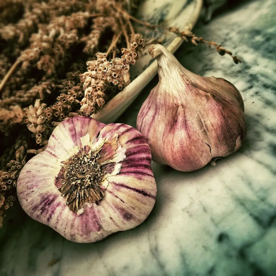 Knoblauch – Symbol für gesundes Kochen