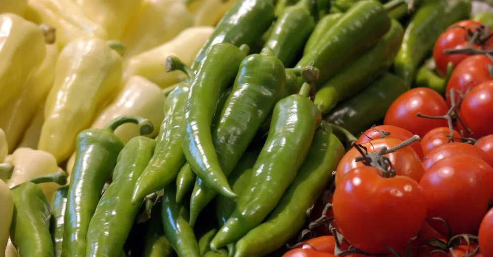 Bunte Paprika – Symbol für gesunde, bunte Ernährung